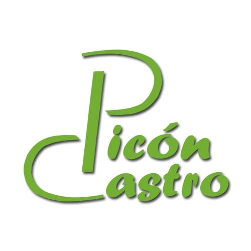 La Picón Castro