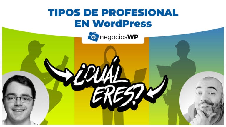 166. Tipos de profesional en WordPress